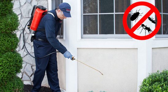 Çamlıdere Böcek ve Haşere İlaçlama böcek ilaçlama ve haşere kontrolü — ilaclama-tr.com